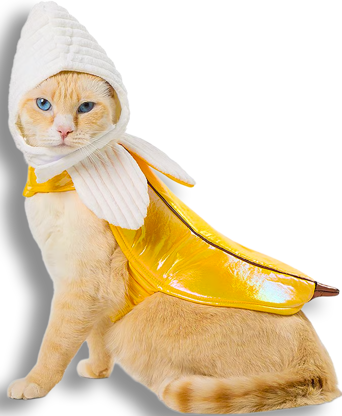 Pet Banana Costume Cats
