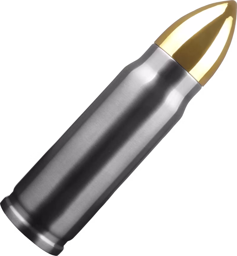  Bullet Water Bottle