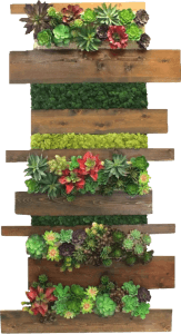 Faux Succulent Plant