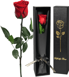 Infinity Rose