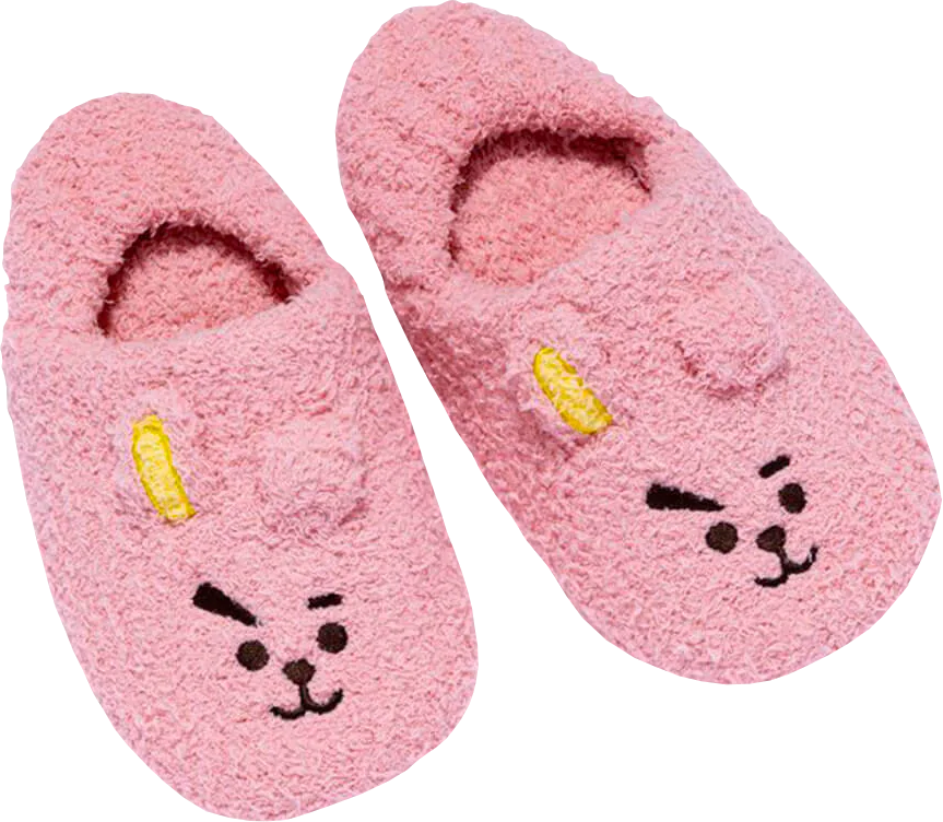 Cooky Warm Room Shoes