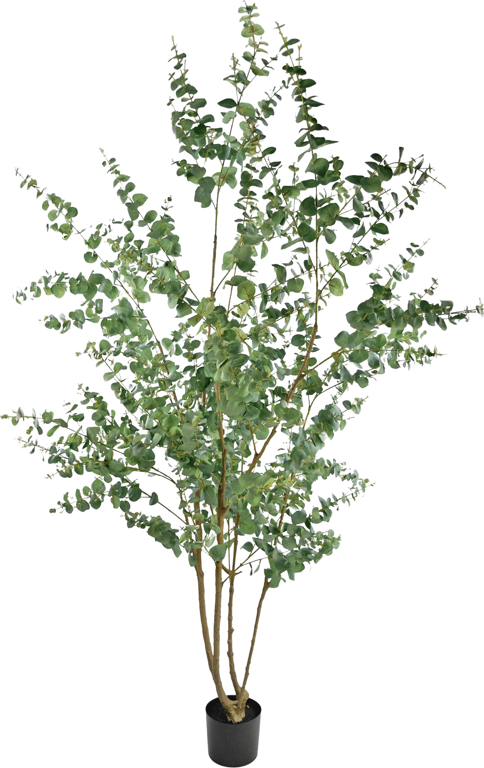 Artificial Eucalyptus Plant