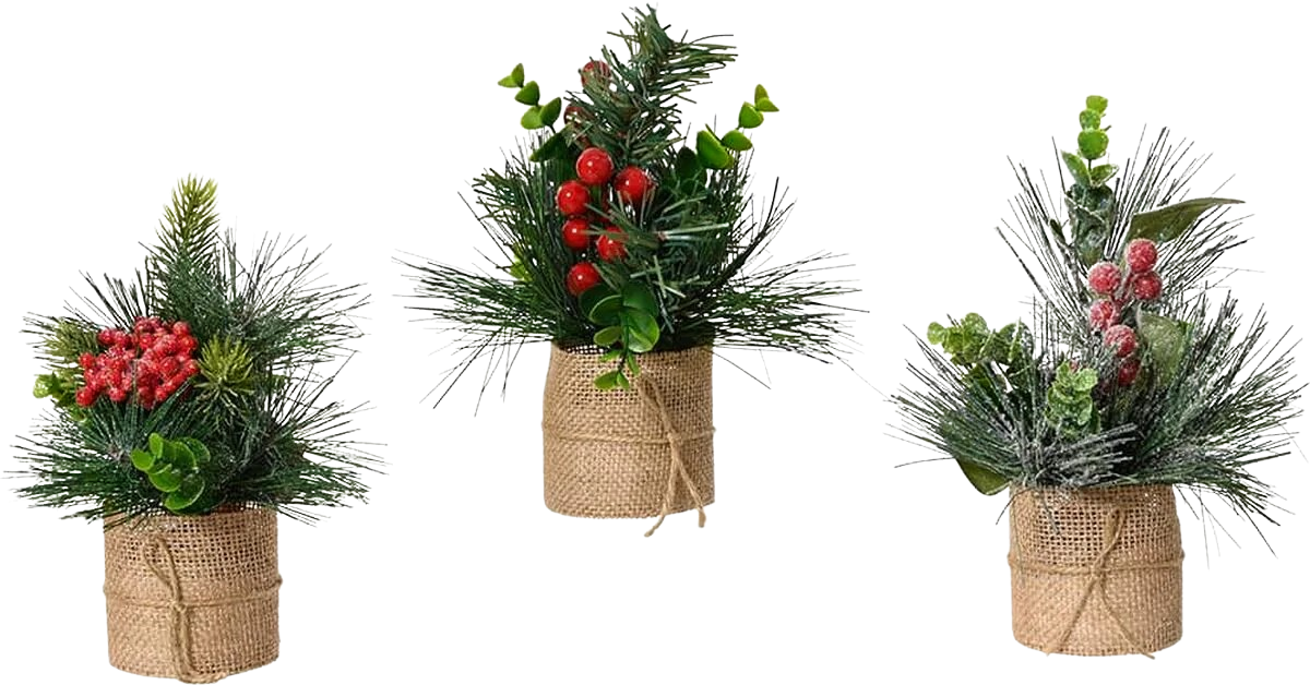 Decorative Plant Christmas