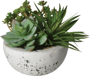 Artificial Succulents