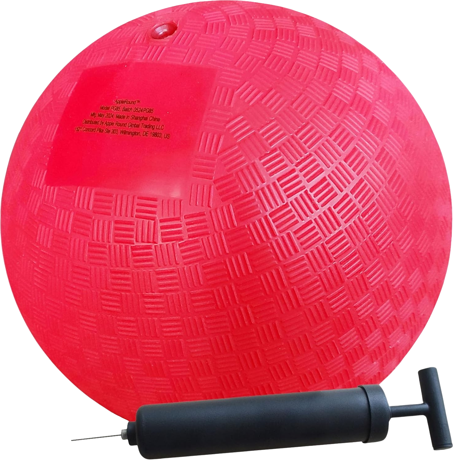 Dodgeball + Air Pump