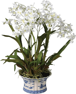 White Artificial Dendrobium Orchid Plant
