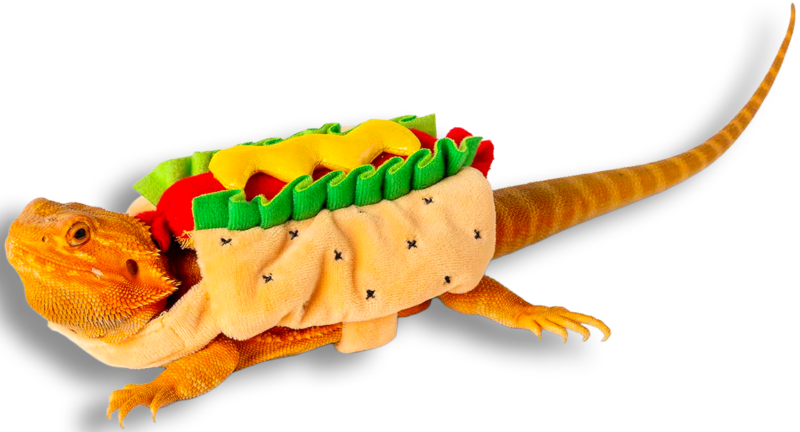 Hot Dog Reptile Costume