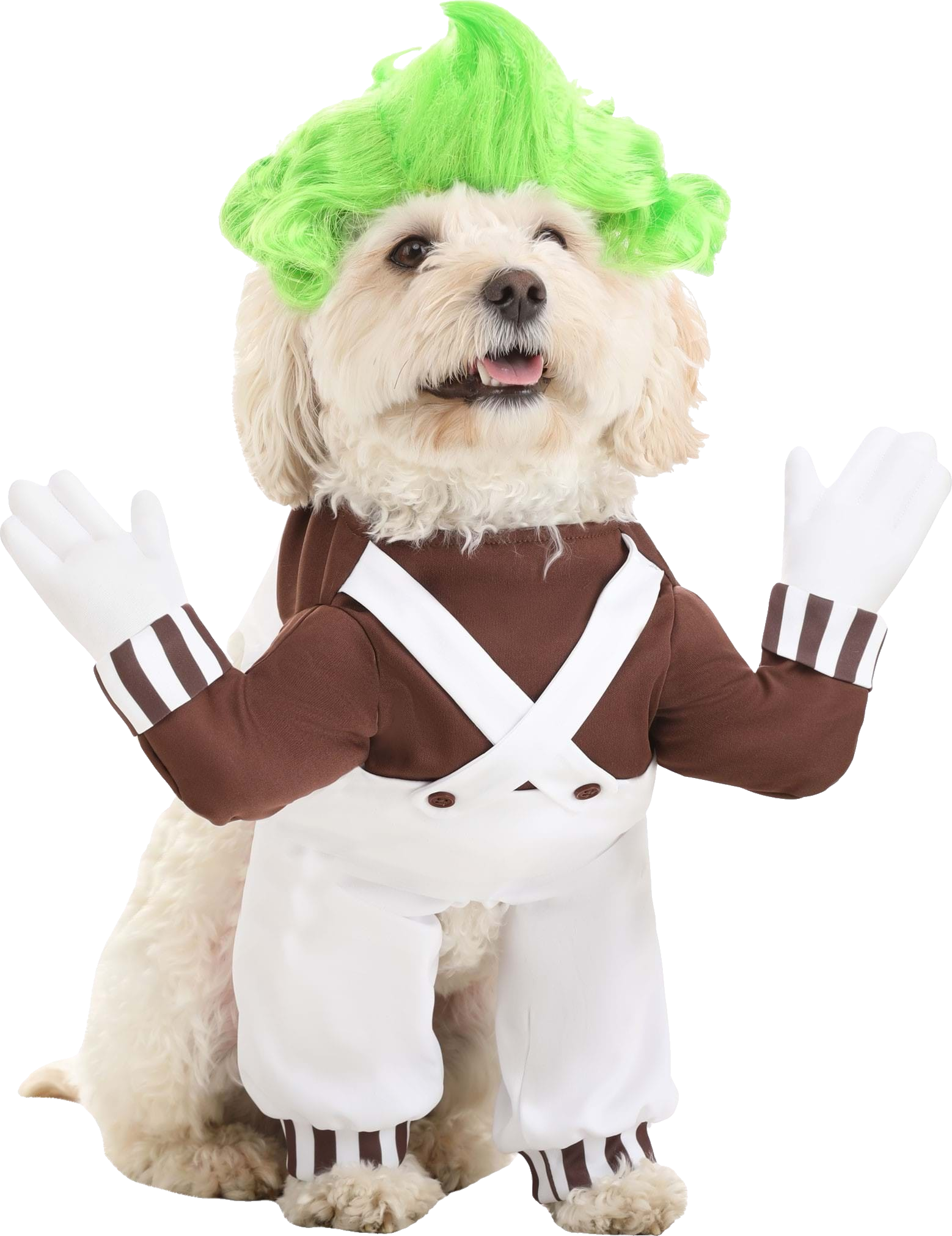 Oompa Loompa Dog Costume