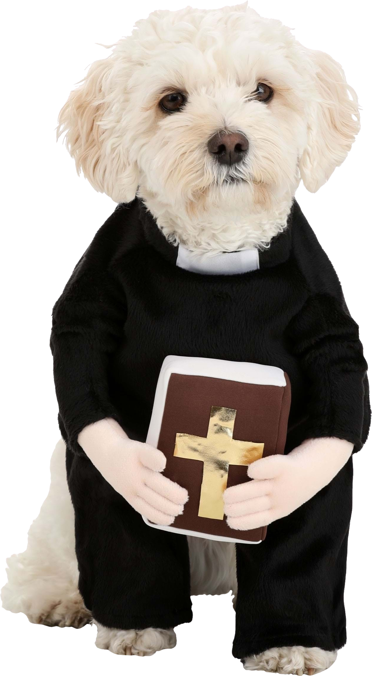 Priest Dog Costume