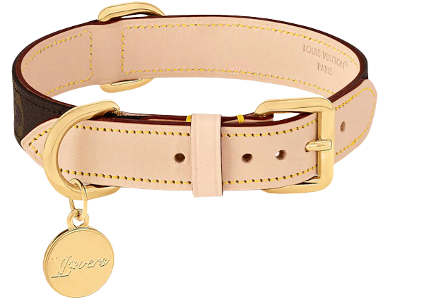 Louis Vuitton Dog Collar PM Monogram